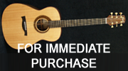 Custom-Built Guitars for Sale